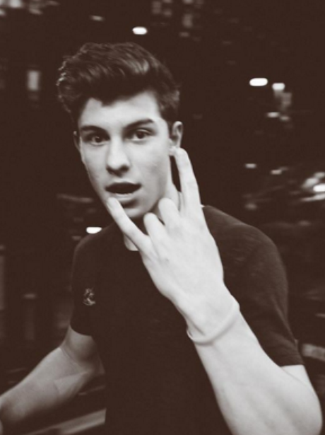 Shawn Mendes Instagram
